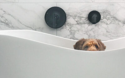 Within Reach: Cleaning Behind Your Freestanding Tub